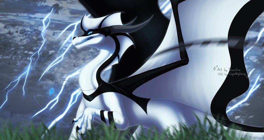 The Eye of the Storm